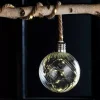 Lâmpadas Led-CASA Bloxem Bola Deco Com 20 Leds Transparente