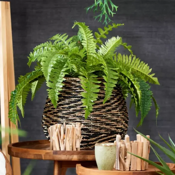 Plantas Artificiais-CASA Boston Sambaia Verde