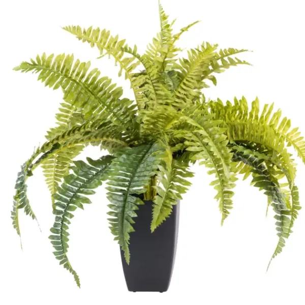 Plantas Artificiais-CASA Boston Sambaia Verde