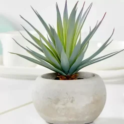 Plantas Artificiais-CASA Cement Cr Ssula Artificial Em Pote Cinzento