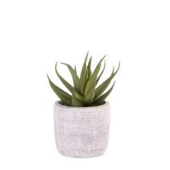 Plantas Artificiais-CASA Cement Planta Artificial Cinzento