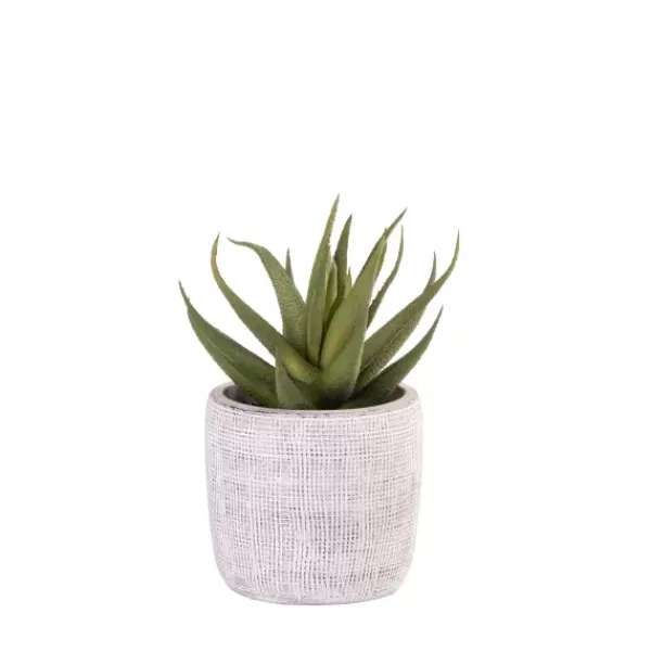 Plantas Artificiais-CASA Cement Planta Artificial Cinzento
