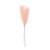 Ramos Artificiais-CASA Ecru Plumas Decorativas Castanho Claro