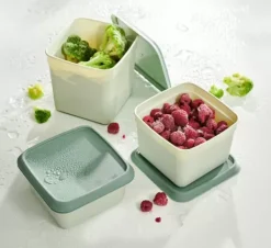 Caixas De Alimentos-CASA Freezer 10 Caixas Para Congelador Menta, Verde Escuro