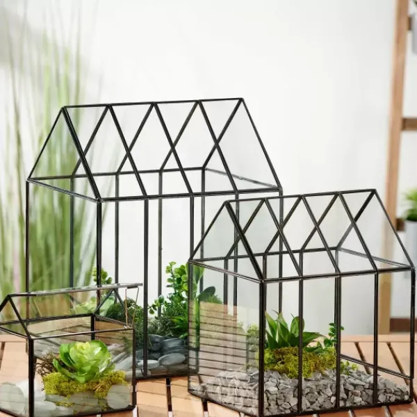 Vasos Em P-CASA Greenhouse Mini Estufa Transparente
