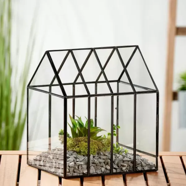 Vasos Em P-CASA Greenhouse Mini Estufa Transparente