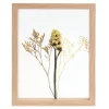 Decora O De Parede-CASA Limonium Decora O De Parede Natural