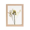Decora O De Parede-CASA Limonium Decora O De Parede Natural