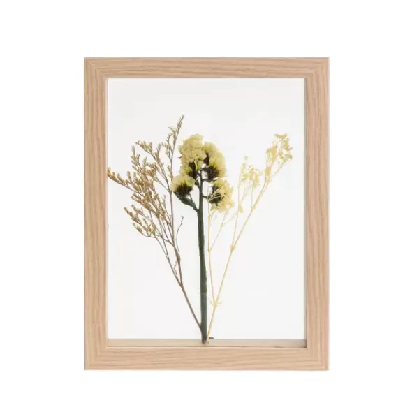 Decora O De Parede-CASA Limonium Decora O De Parede Natural