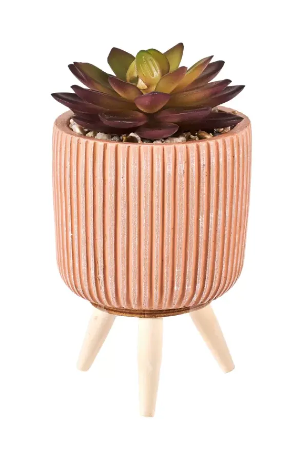 Plantas Artificiais-CASA Stripe Cr Ssula Artificial Em Pote Multicolor